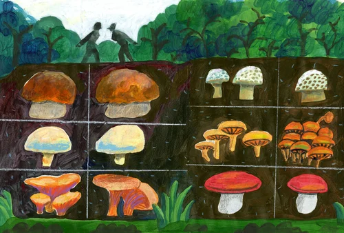 Emotions , unrecognised and Plural (2023)