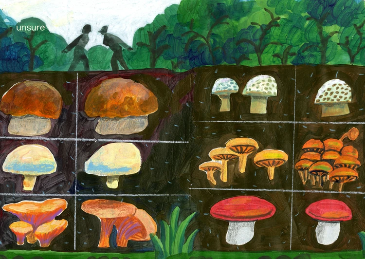 Emotions , unrecognised and Plural (2023)