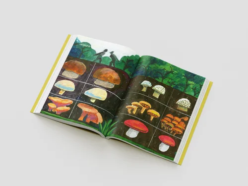 Emotions , unrecognised and Plural (2023)